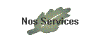 Nos Services